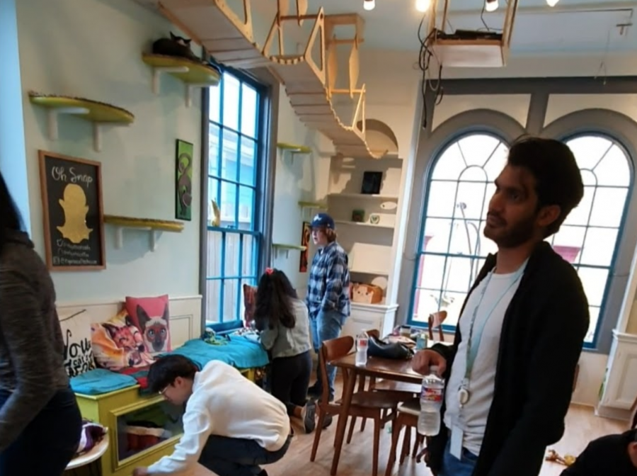 Village Residential Life Students Pay a Visit to the Cat Cafe