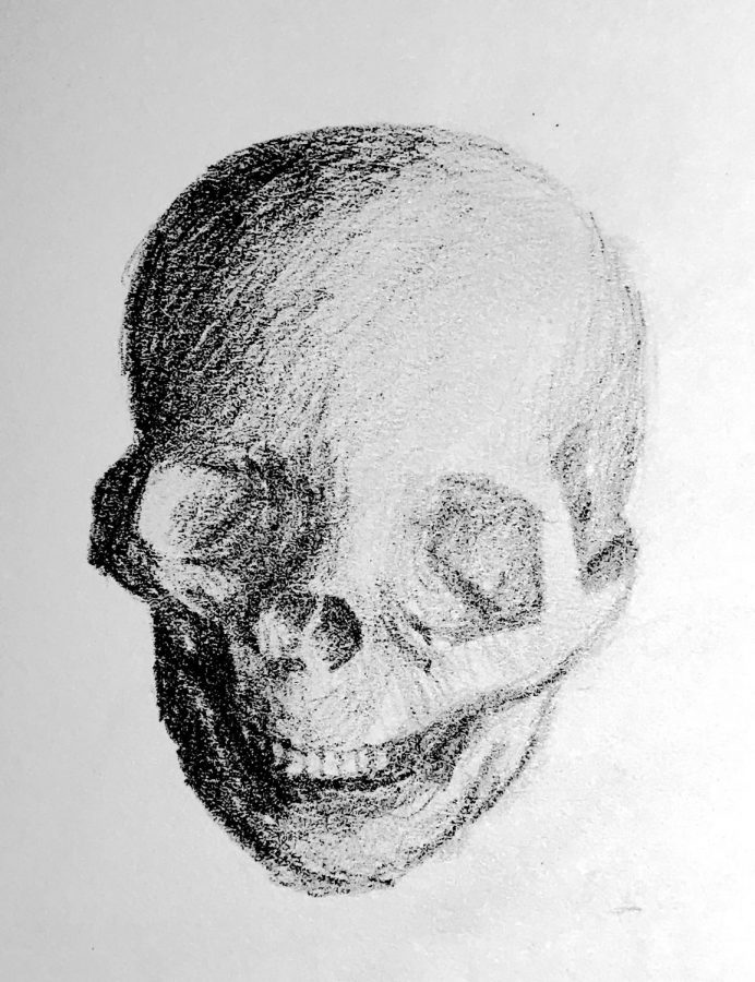 A skull drawing from the Life Drawing club.
