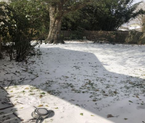 A snow-covered backyard in Texas after the winter storm hit. 
