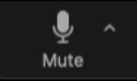  Unmuted mic during zoom meeting