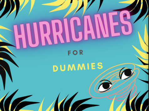 Hurricane Preparation for Dummies