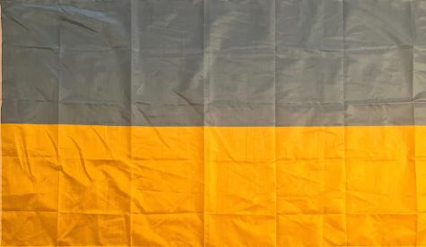 A Village students Ukraine flag
