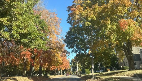 Autumn in Illinois. Taken by Senior Abigail Evans.