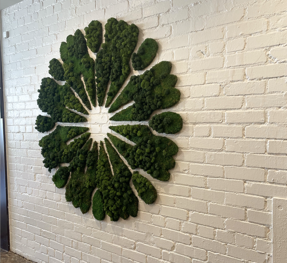 Dandelion Café logo made of moss